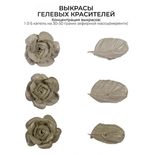Гелевый краситель БИОХРОМ Холодный лавр, 100г. фото 2